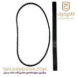 تسمه-سرکیسه